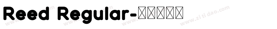 Reed Regular字体转换